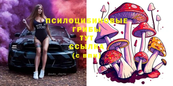 амф Горно-Алтайск