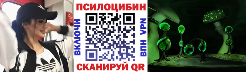 Купить где  Избербаш  Галлюциногенные грибы прущие грибы 